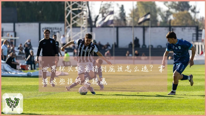 世界杯买球竞猜到底该怎么选？掌握这些技巧更稳赢