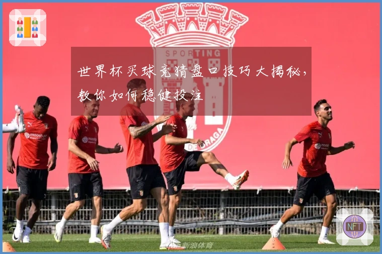 世界杯买球竞猜盘口技巧大揭秘，教你如何稳健投注