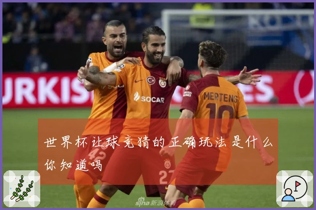 世界杯让球竞猜的正确玩法是什么你知道吗