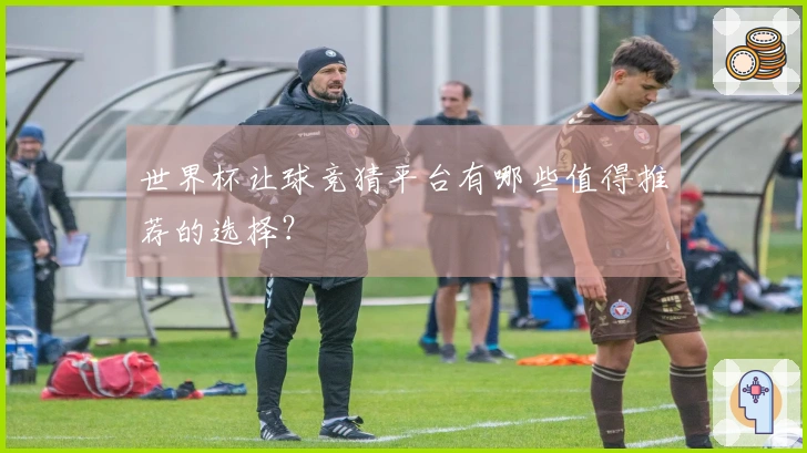 世界杯让球竞猜平台有哪些值得推荐的选择？